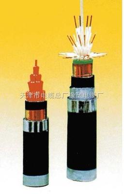 KVV、KVV22、KVV32控制電纜規(guī)格型號(hào)詳解與國(guó)家標(biāo)準(zhǔn)的遵循——以天津市電纜總廠橡塑電纜廠為例